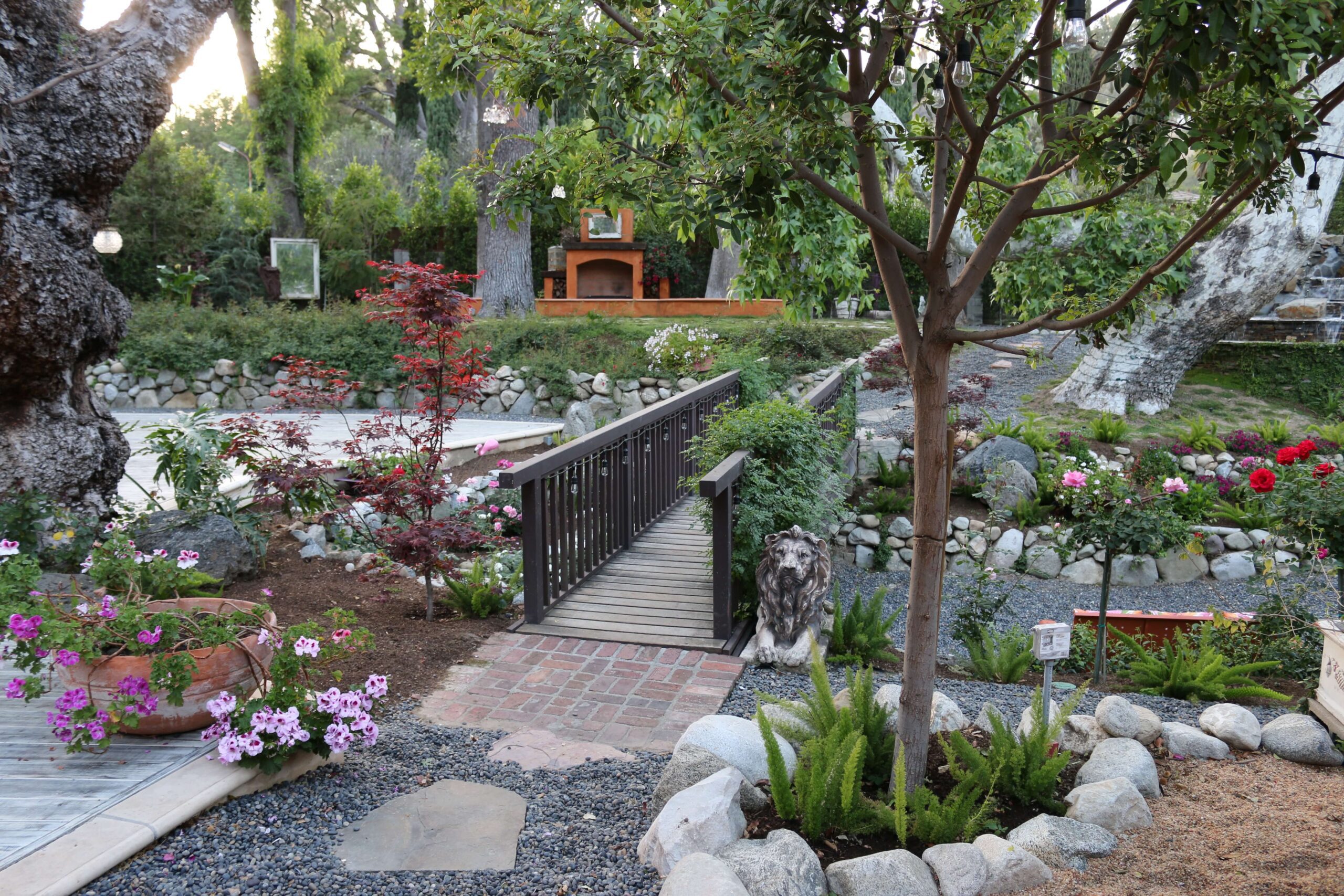Landscape-Design-Los-Angeles-Natural-Cottage-Garden