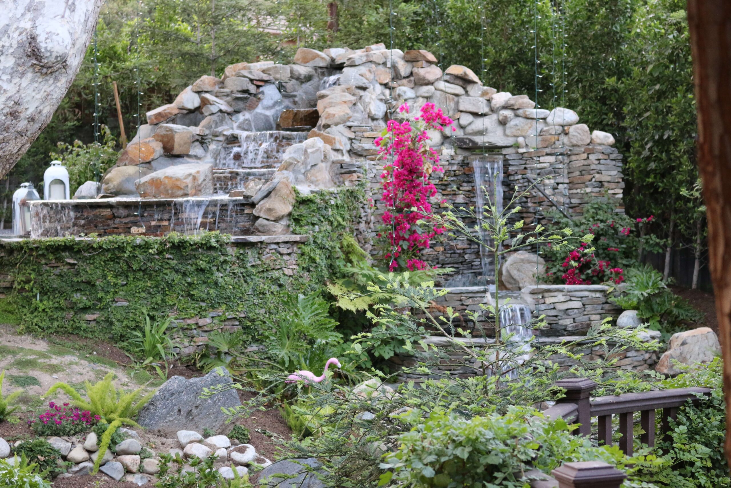 Landscape consultation in Los Angeles with Olmos Landscape
